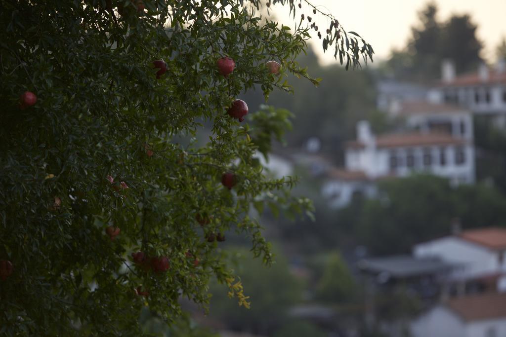 Nisanyan Hotel Selcuk Exterior photo